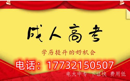 干貨！備考必讀，成考不踩雷！